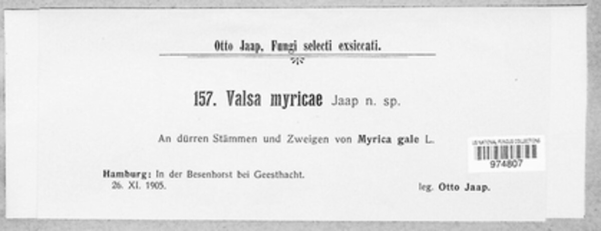 Valsa myricae image